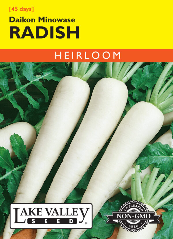 Radish, Daikon Minowase