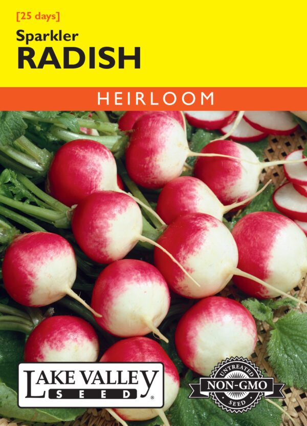 Radish, Sparkler
