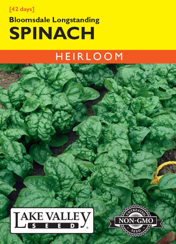 Spinach, Bloomsdale Longstanding