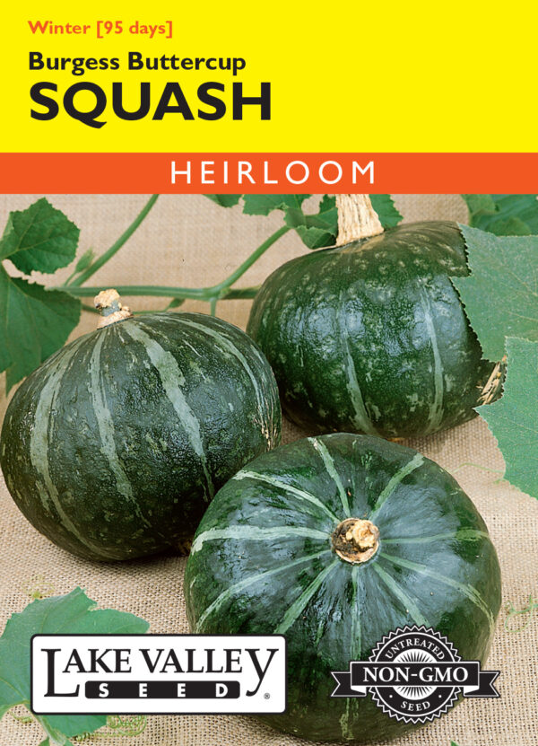 Squash, Burgess Buttercup
