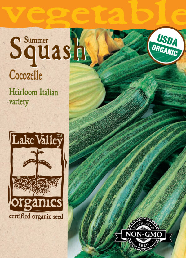 Squash, Cocozelle (Summer) Organic