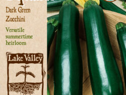 Squash, Zucchini Dark Green (Summer) Organic