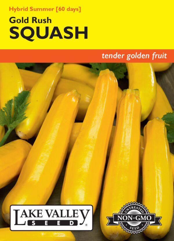 Squash, Gold Rush