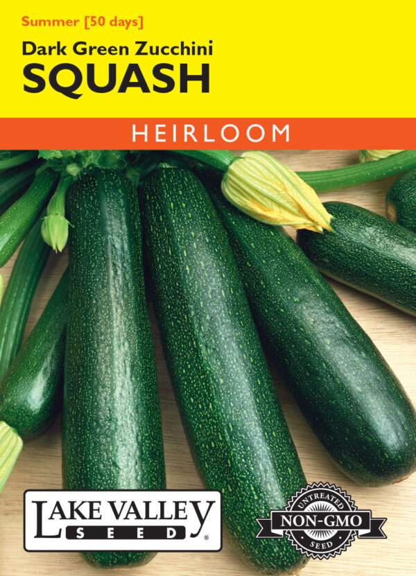 Squash, Zucchini Dark Green