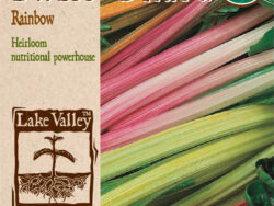 Swiss Chard, Rainbow Organic