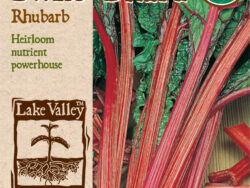 Swiss Chard, Rhubarb Organic