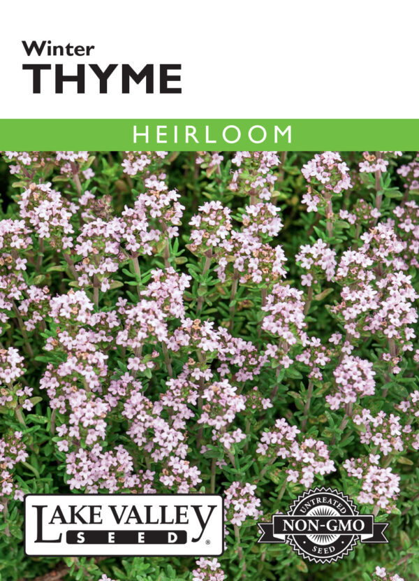 Thyme, Winter Heirloom