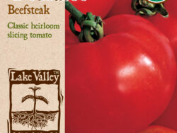 Tomato, Beefsteak Organic