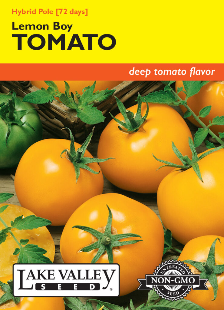 Tomato lemon boy a garden center duluth minnesota plants