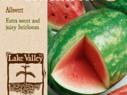 Watermelon, Allsweet Organic