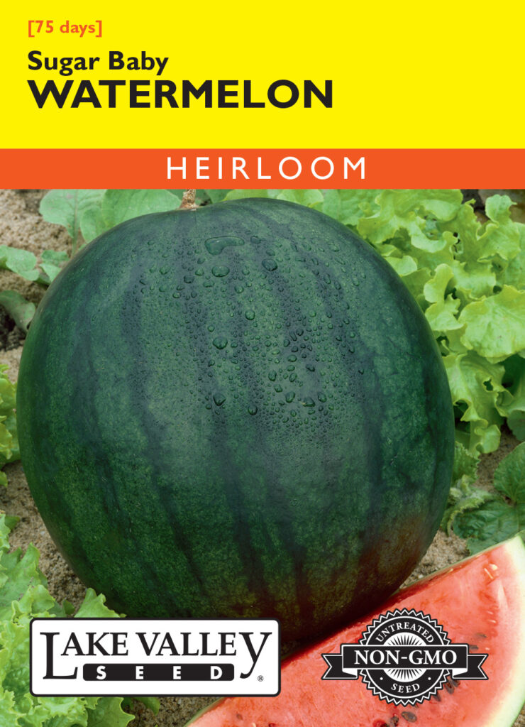 Watermelon, Sugar Baby A+ Garden Center Duluth, Minnesota Plants, Trees, Shrubs, Flowers