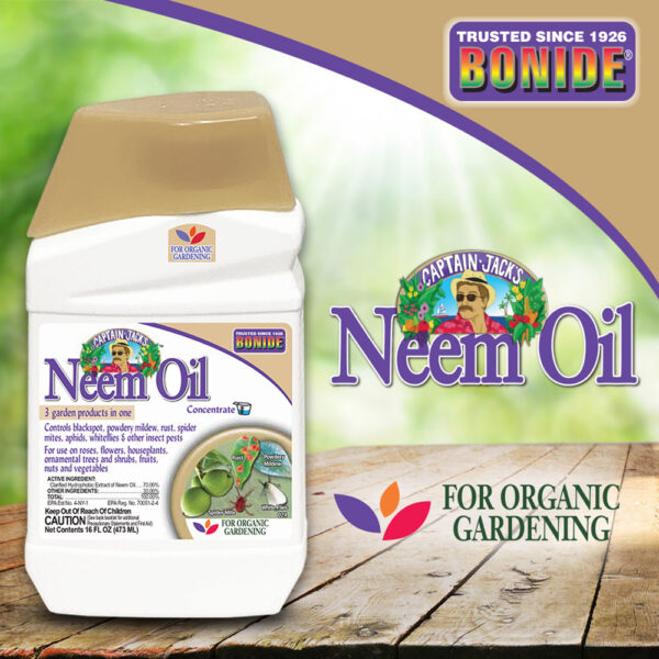Bonide Captian Jack's Neem Oil Concentrate
