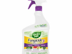 Garden Safe Fungicide 3
