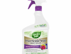Garden Safe Insecticidal Soap