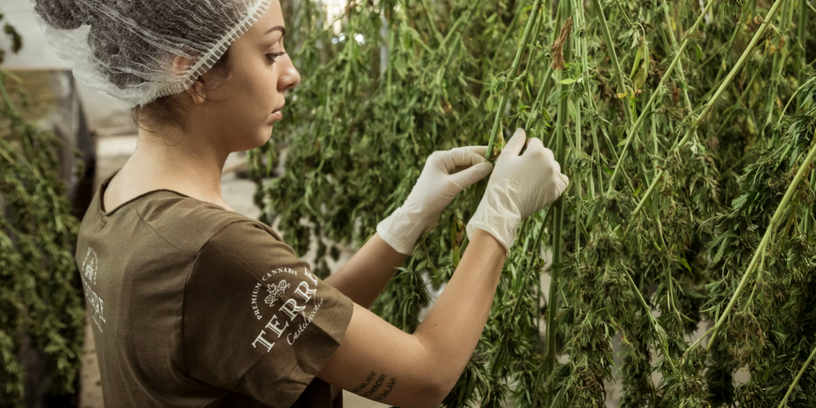 TinyTake02-04-2024-07-47-50